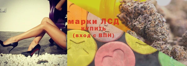ГАЛЛЮЦИНОГЕННЫЕ ГРИБЫ Абаза