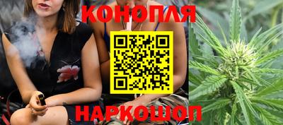 apvp Славгород