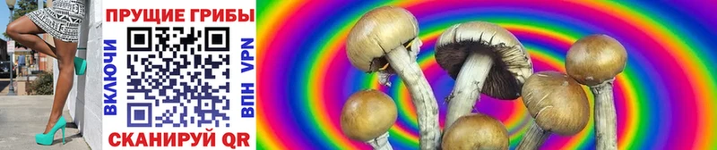 Псилоцибиновые грибы ЛСД  Тюмень 