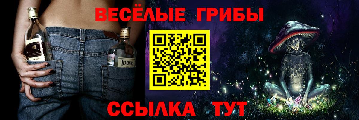 Псилоцибиновые грибы прущие грибы  Вход с VPN  Тюмень 
